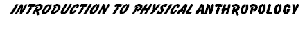 wp6be26a21.png