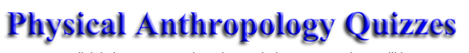 wpf39b966a.png